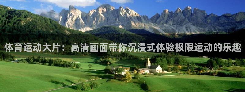 鲸鱼体育app官方入口